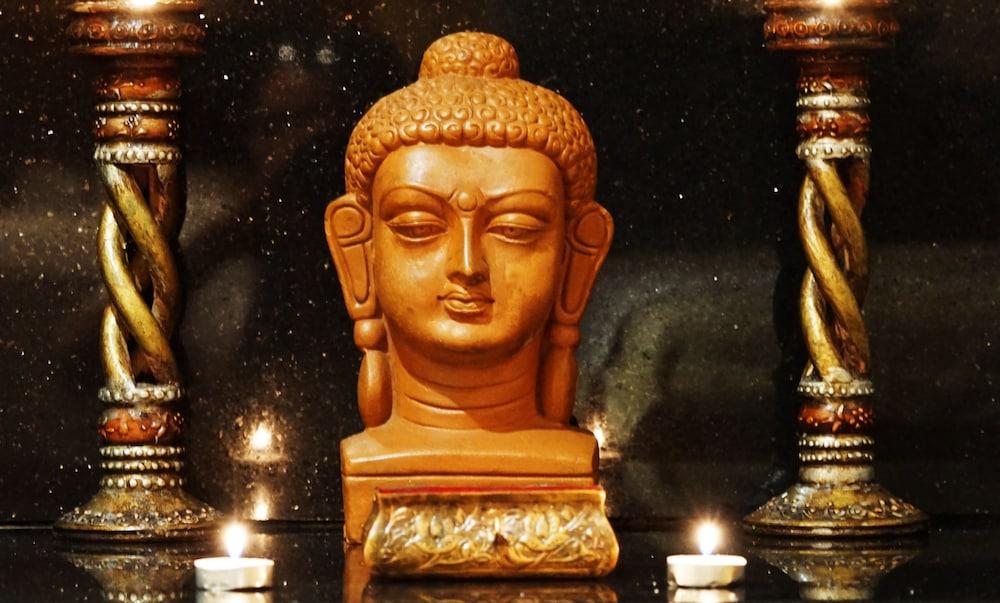 Taj Chandīgarh Екстериор снимка The Buddha